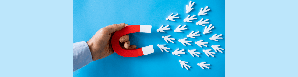 1703249917_Optimize Lead Management.png
